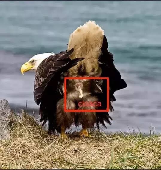 ㅇㅇㄱ)ㅅㅂ ㅈ같다 하지말라고!!!!_4.jpg