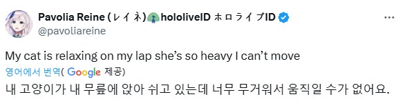 버튜버) 안돼에에~ 레이네~_1.png