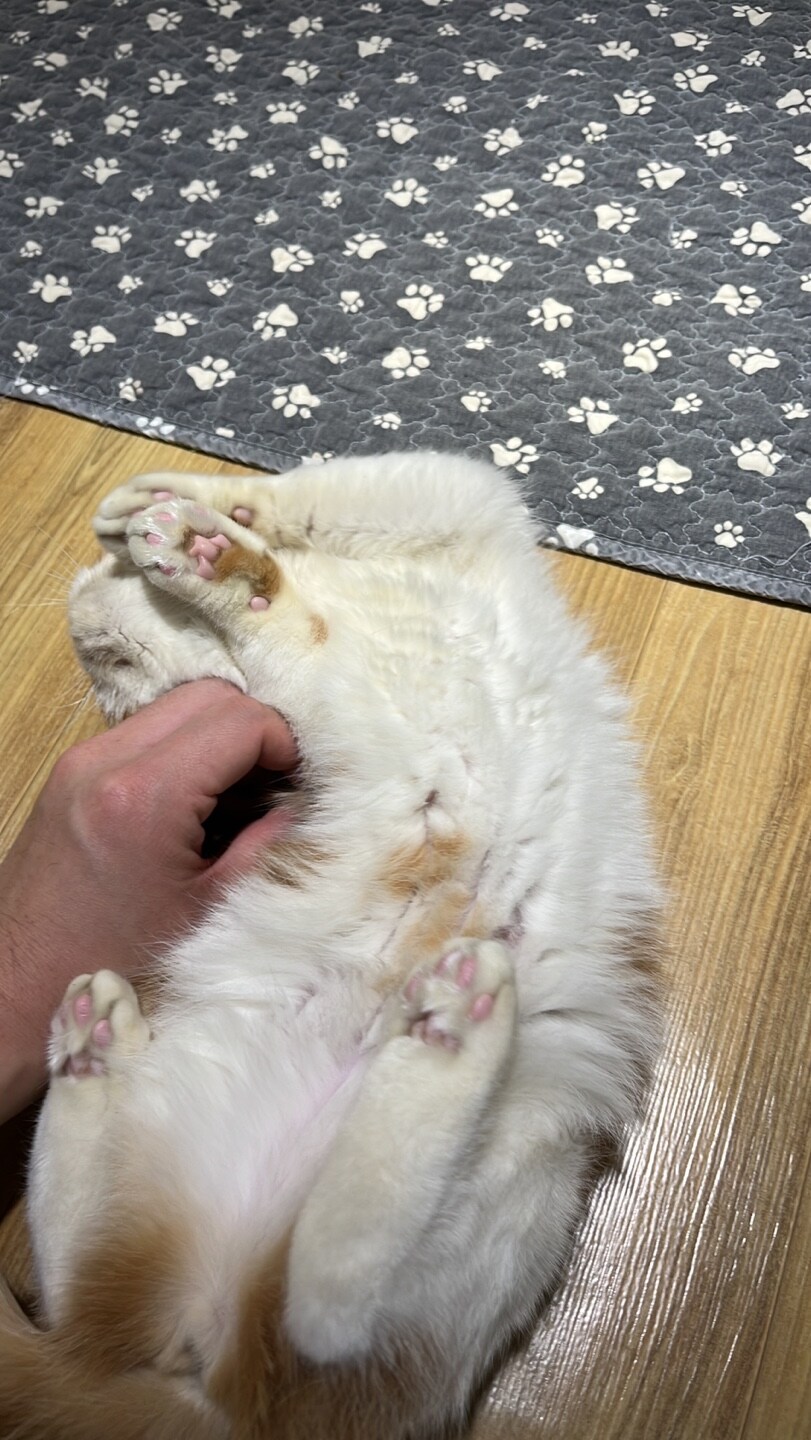 부탁이야..이제 제발 그만해줘.._1.jpg