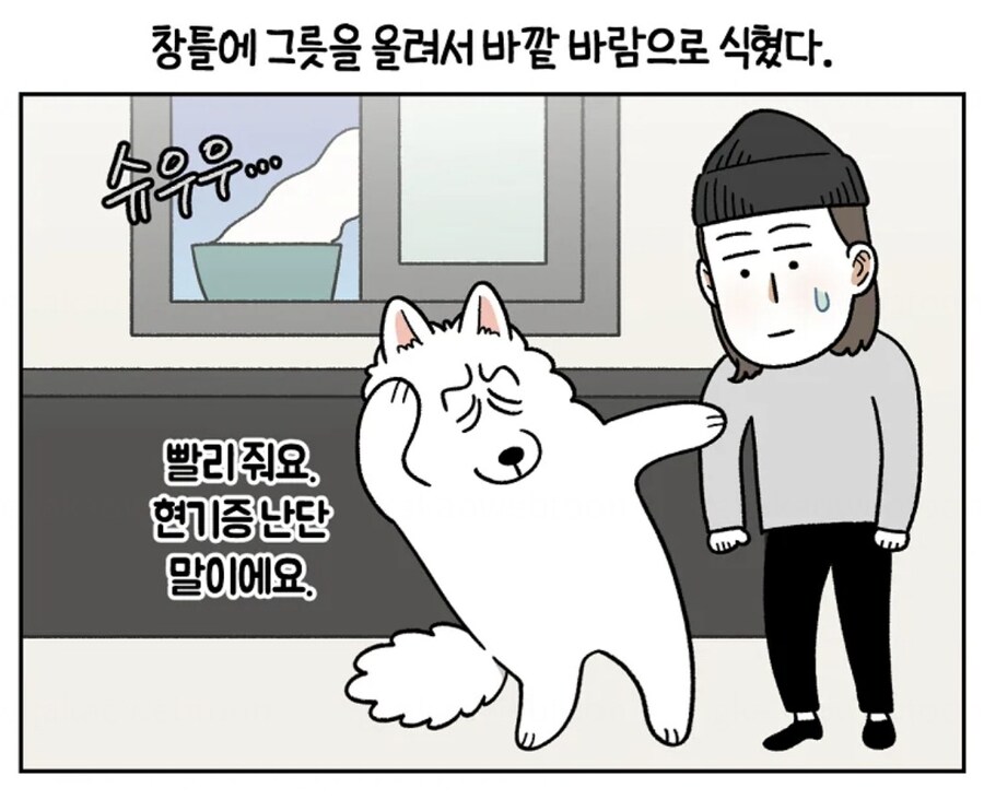 애견 웹툰 보는데 어디서 많이 보던 장면이 ㅋㅋ_2.jpg
