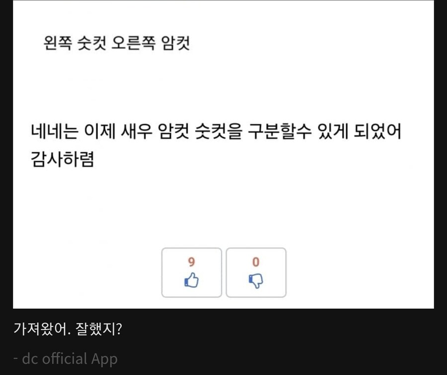 나무위키 차단 소명 갤러리 근황_2.jpg
