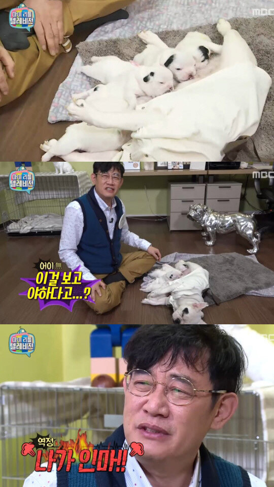 ㅈ토피아가 너무하다고?_1.jpg