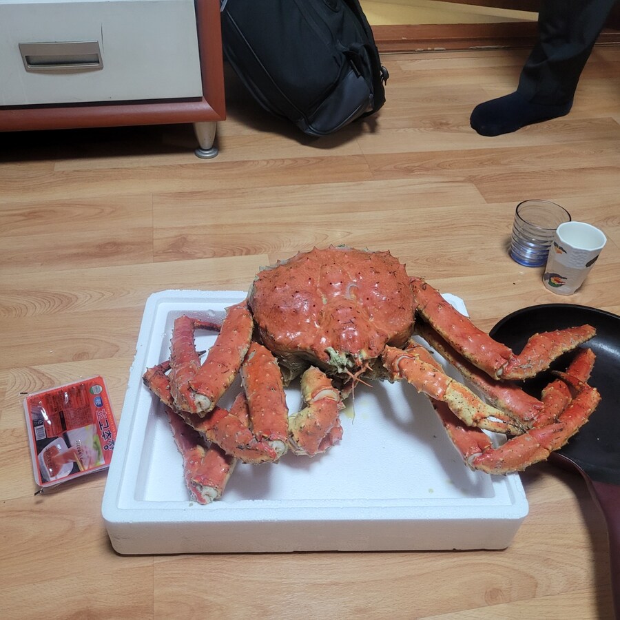 아 몰랑 꼴리는 짤 투척한다_1.jpg