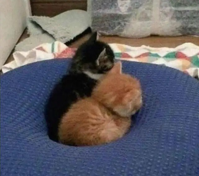 기업 하는 사장님이 퇴사자 너무 늘었다고 불평한다._1.jpg