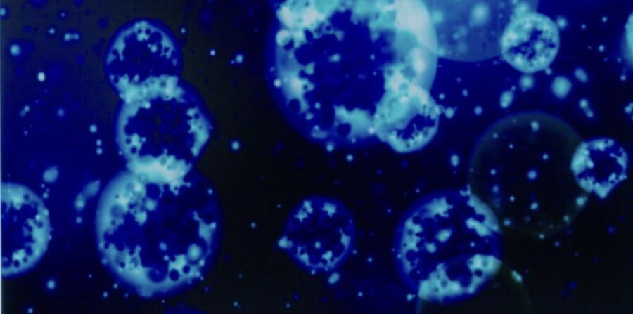 SF) 갑분 코즈믹 호러로 격상한 설정_2.png