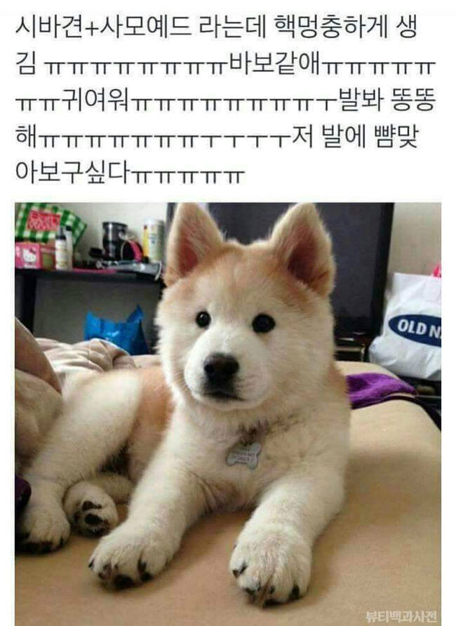 평화로운 일요일 아침 모닝글_1.jpg
