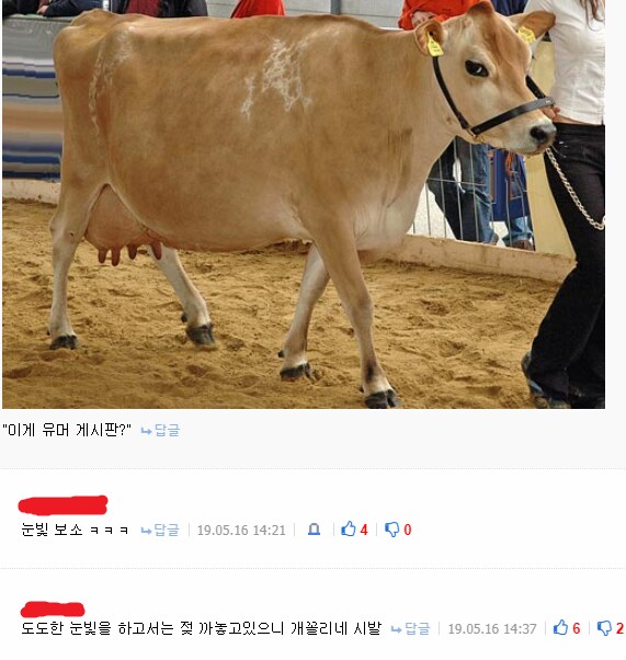 유게 깔깔 유머 모음집_21.png