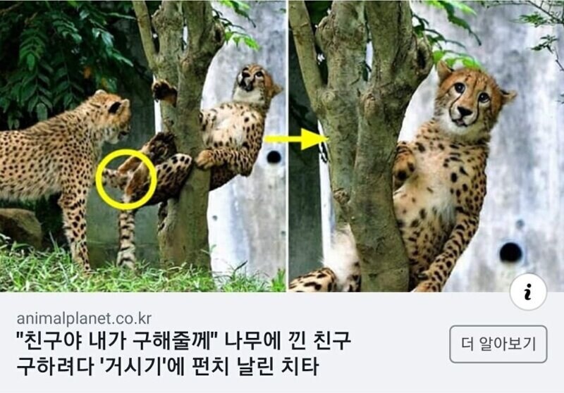 어느 동물짤방의 잔혹한 진실_2.jpg