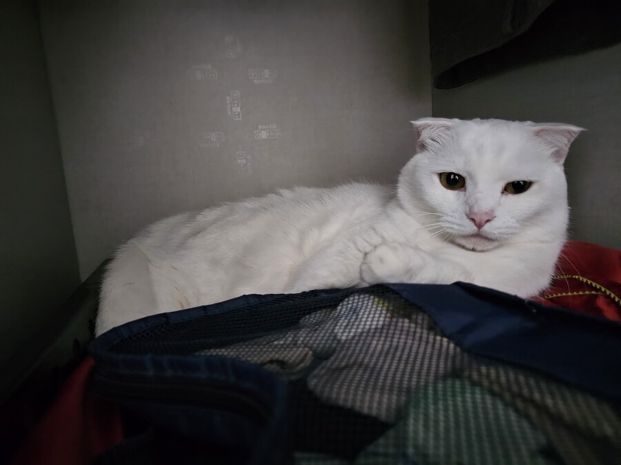 옷장에서 나와랏_4.jpg