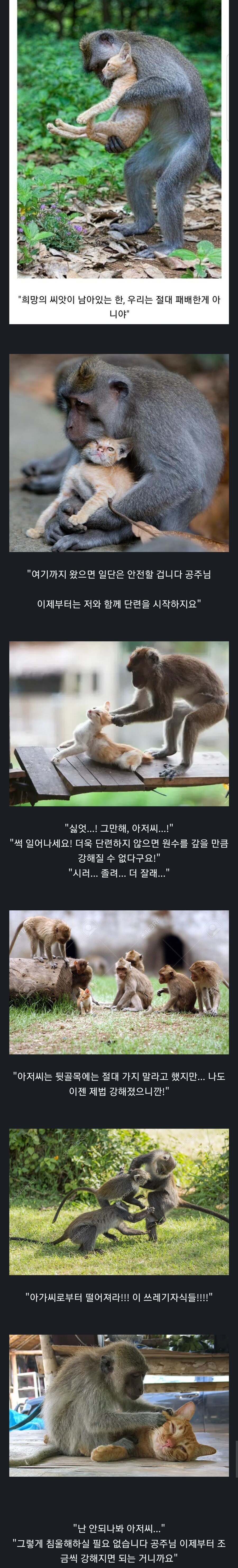 흔한 성장물 클리셰.jpg_1.jpg