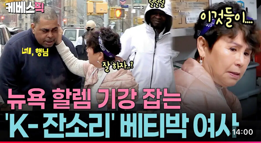 할렘에서 흑인 귀때기 후려갈겨도 되는 할머니_5.jpg