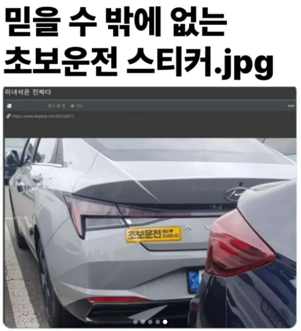 믿을 수 밖에 없는 초보 운전 스티커_1.webp