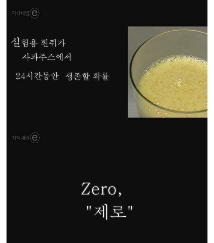 사람들을 죽음으로 이끄는 과일_2.jpg