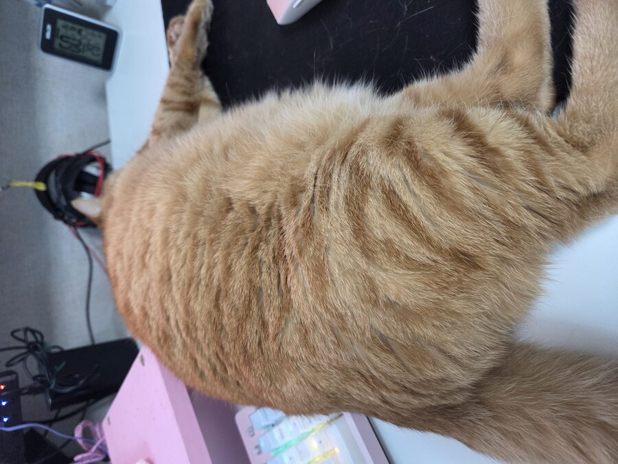 유게 정화작업을 실시합니다_1.jpg