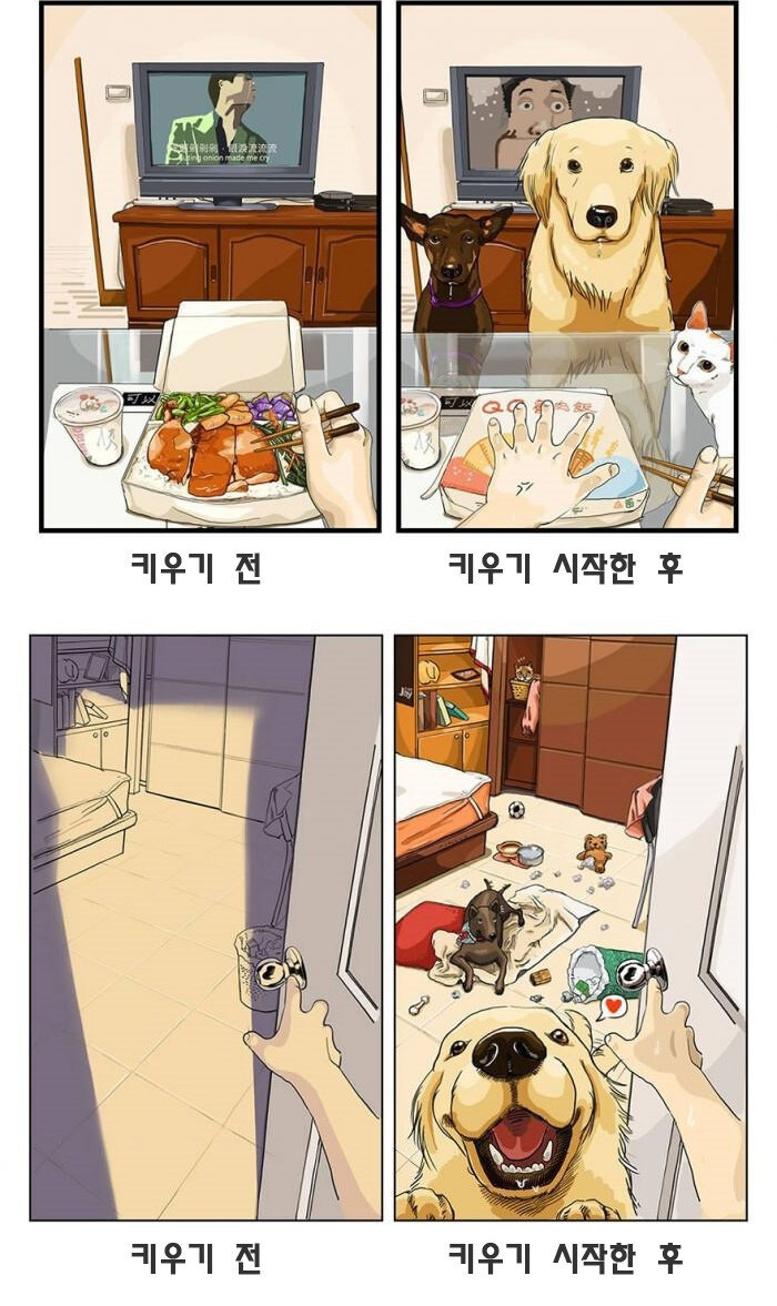 동물 키우기 전/후_1.jpg