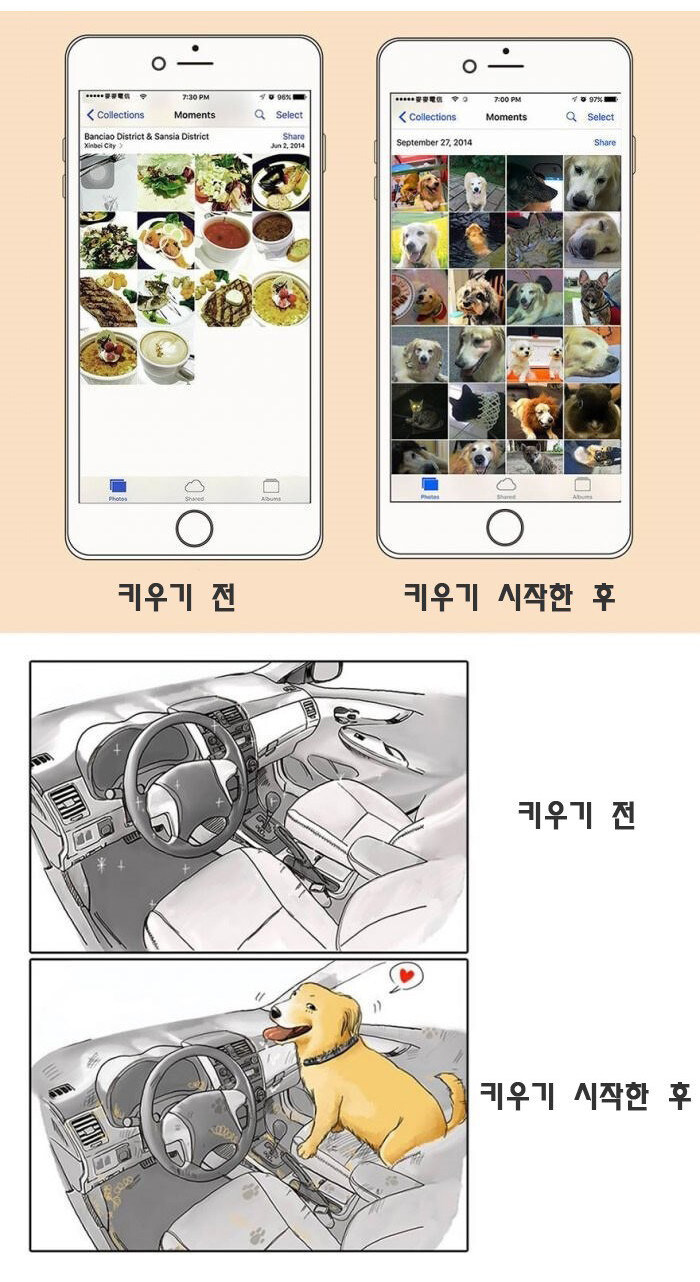 동물 키우기 전/후_2.jpg
