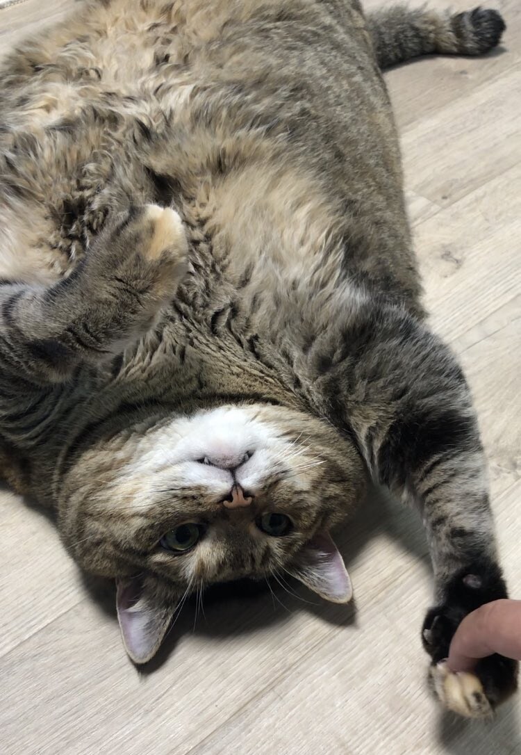 “넌 손이 참 부드럽구나”_1.jpg