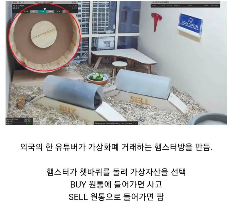 햄스터매매법_1.webp