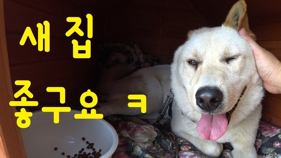 정지 풀려따_1.jpg