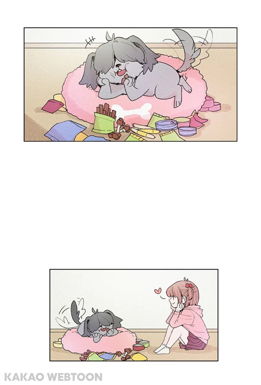 개에 빙의되어 호강받던 남자_7.jpg
