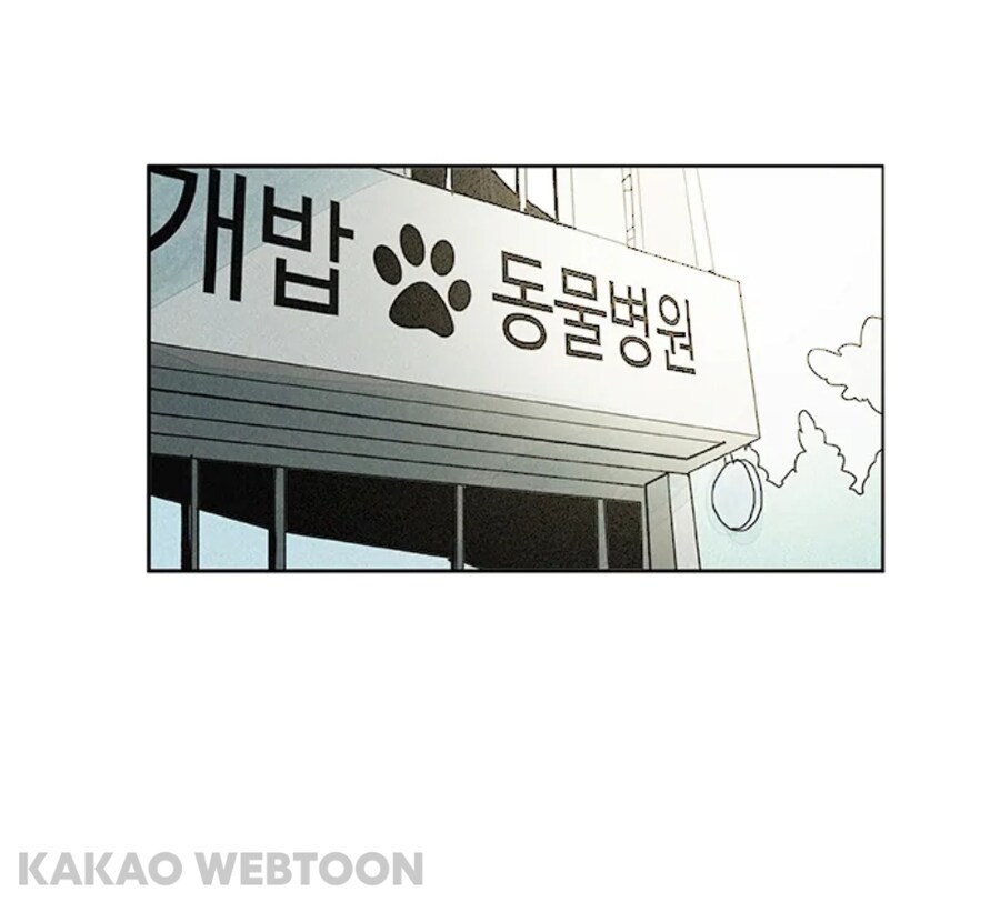 개에 빙의되어 호강받던 남자_14.jpg