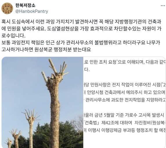 도시 가로수의 중요성.jpg_2.png