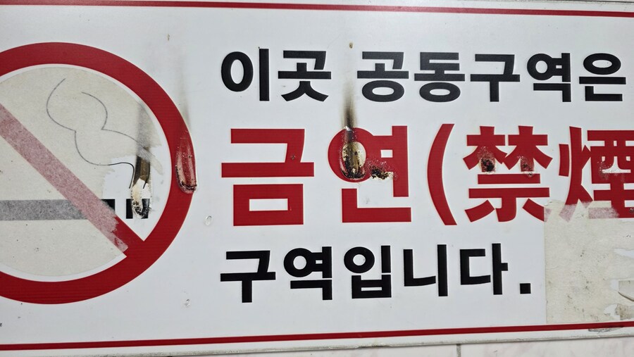 와 데단헤_1.jpg