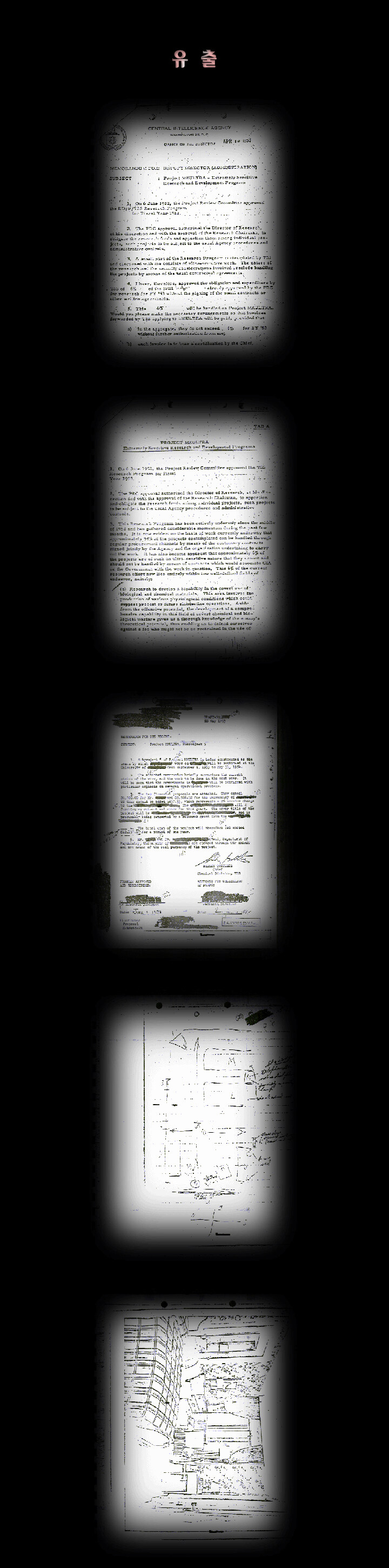 CIA와 가스라이팅 음모론_10.jpg