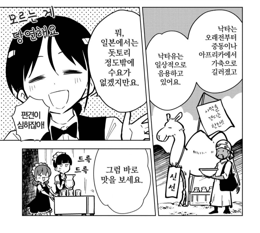의외로 짠맛이 강하다는 우유_3.png