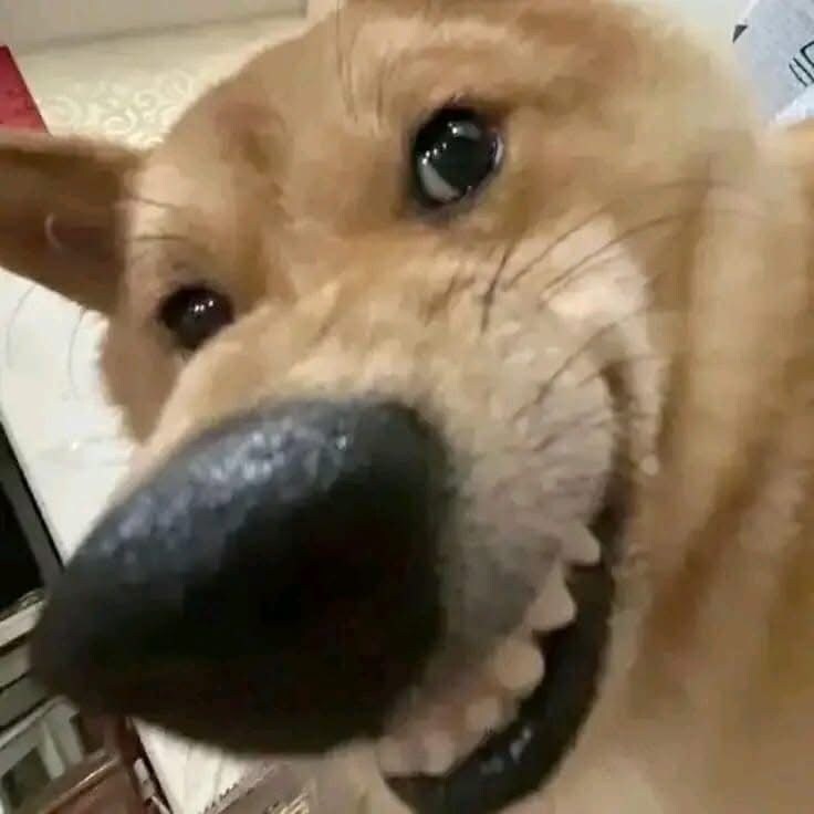 데몬헌터스 아직 보1진 않았는데_1.jpg