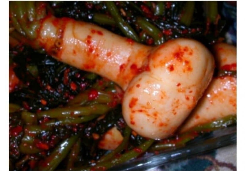 곧 자정이니 나도 ㅈ토피아 올려야지_1.jpg