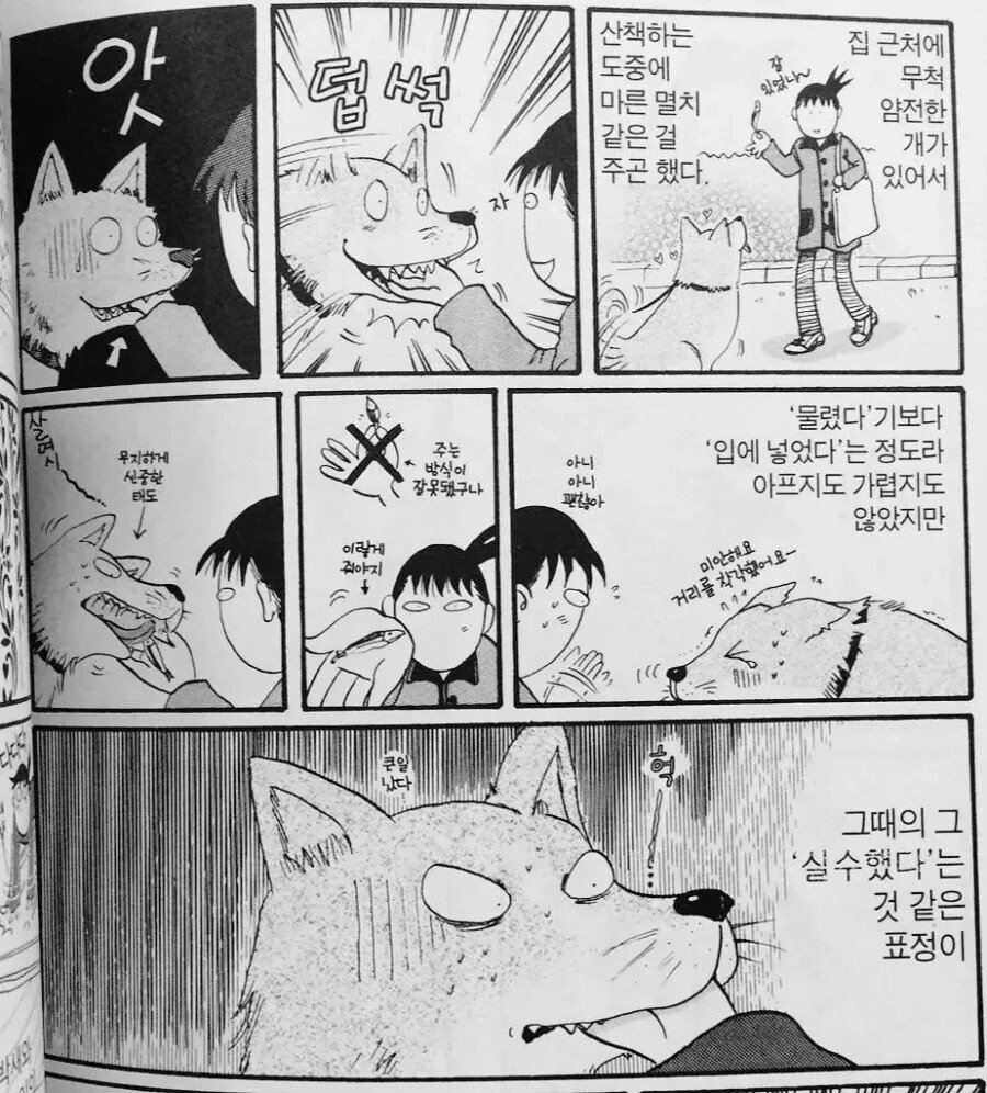 실수한 강아지 표정 .MP4_1.jpg