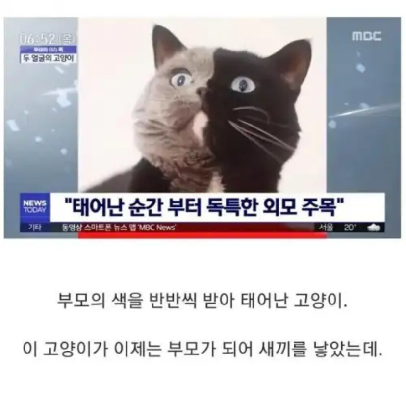 균형은 유지 되어야 한다._1.jpg