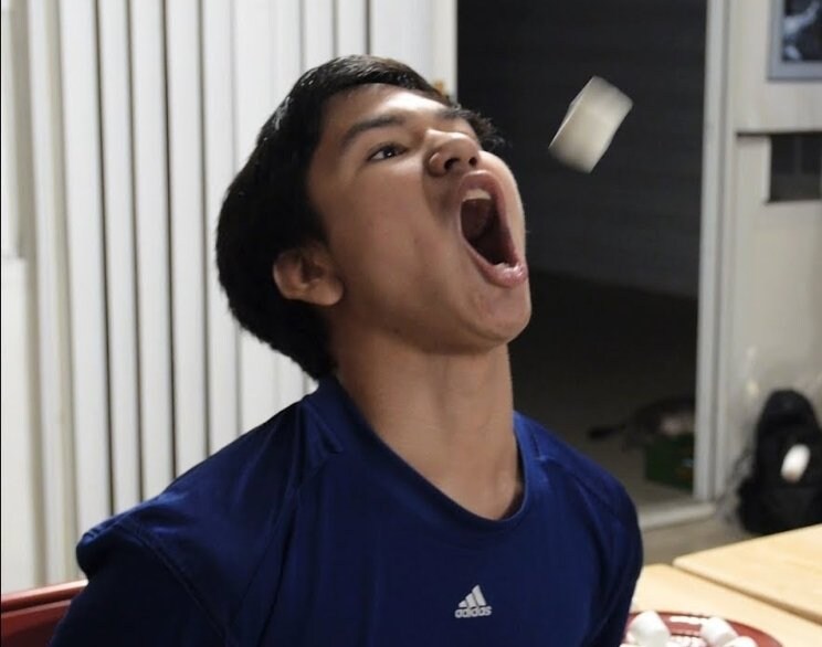 원통에 들어가는 귀여운 햄스터 'ㅅ'_5.jpg