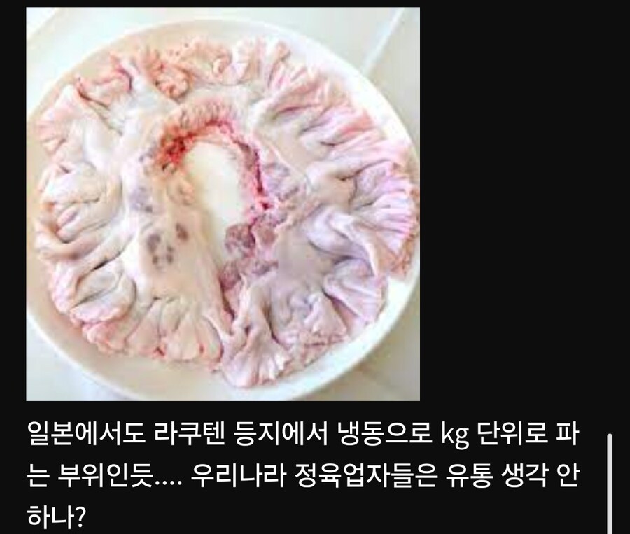 전직 고기쟁이가보는 도래창관련썰_2.jpg