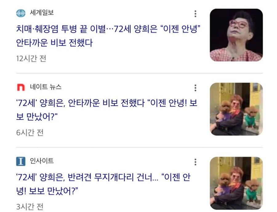 기자들 그라데이션.jpg_1.jpg