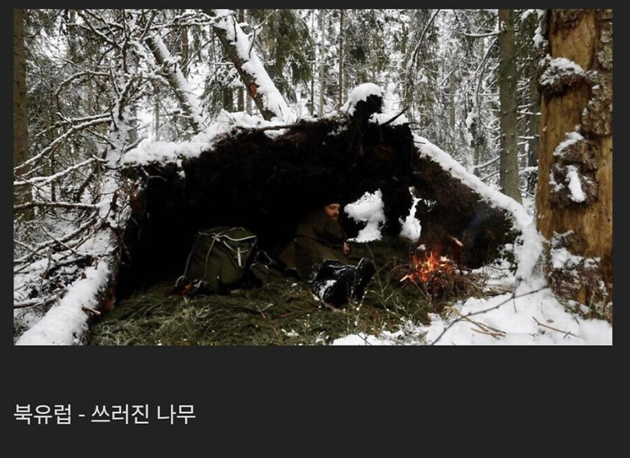 나라별 캠핑할 때 나오는 거_4.jpg
