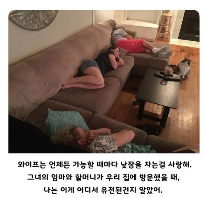 와이프의 신기한 집안 내력_1.webp