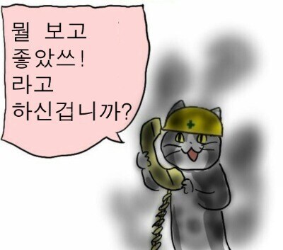 고양이 힘주는거_1.jpg