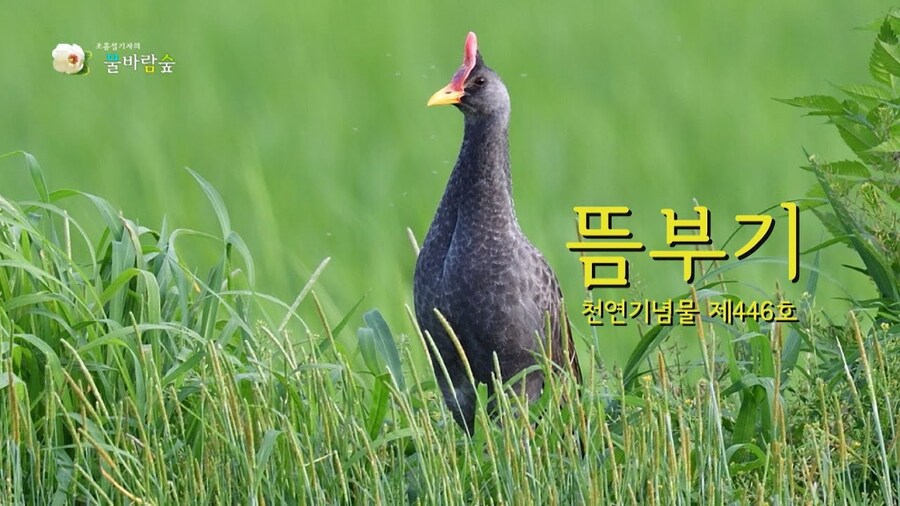 인천에 사는데 동네에 점점 외국인이 늘어난다_1.jpg