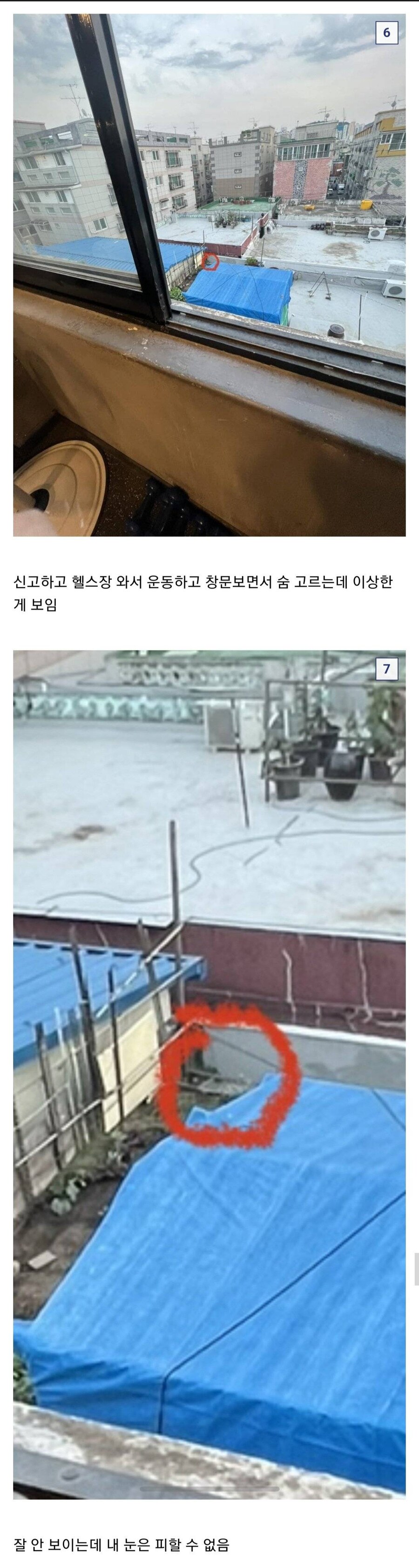 하루에 2번이나 양귀비 발견한 식물갤러 .jpg_3.jpg