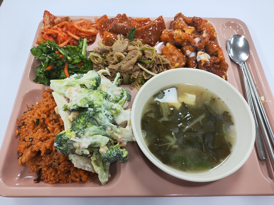 지난주의 가산동 직장인 사료 모음집_6.jpg