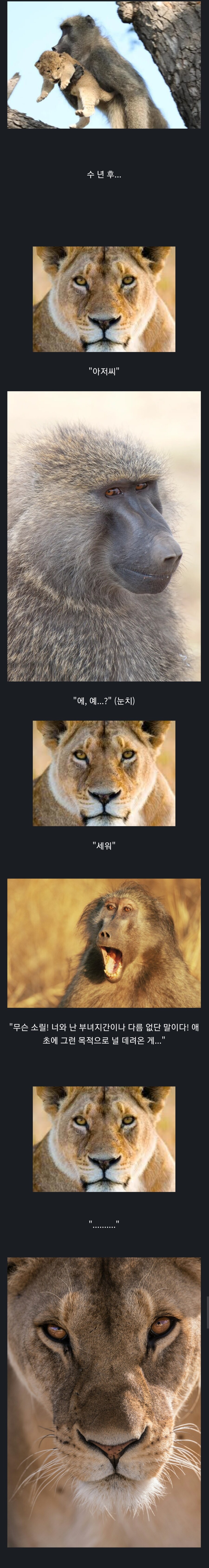 희망의 불씨가 남아있는한 우린 패배한게 아니야_1.jpg