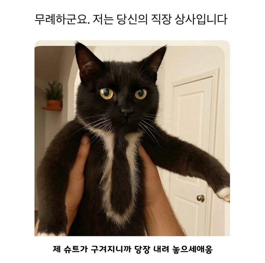 " 무례하군요!"_1.jpg