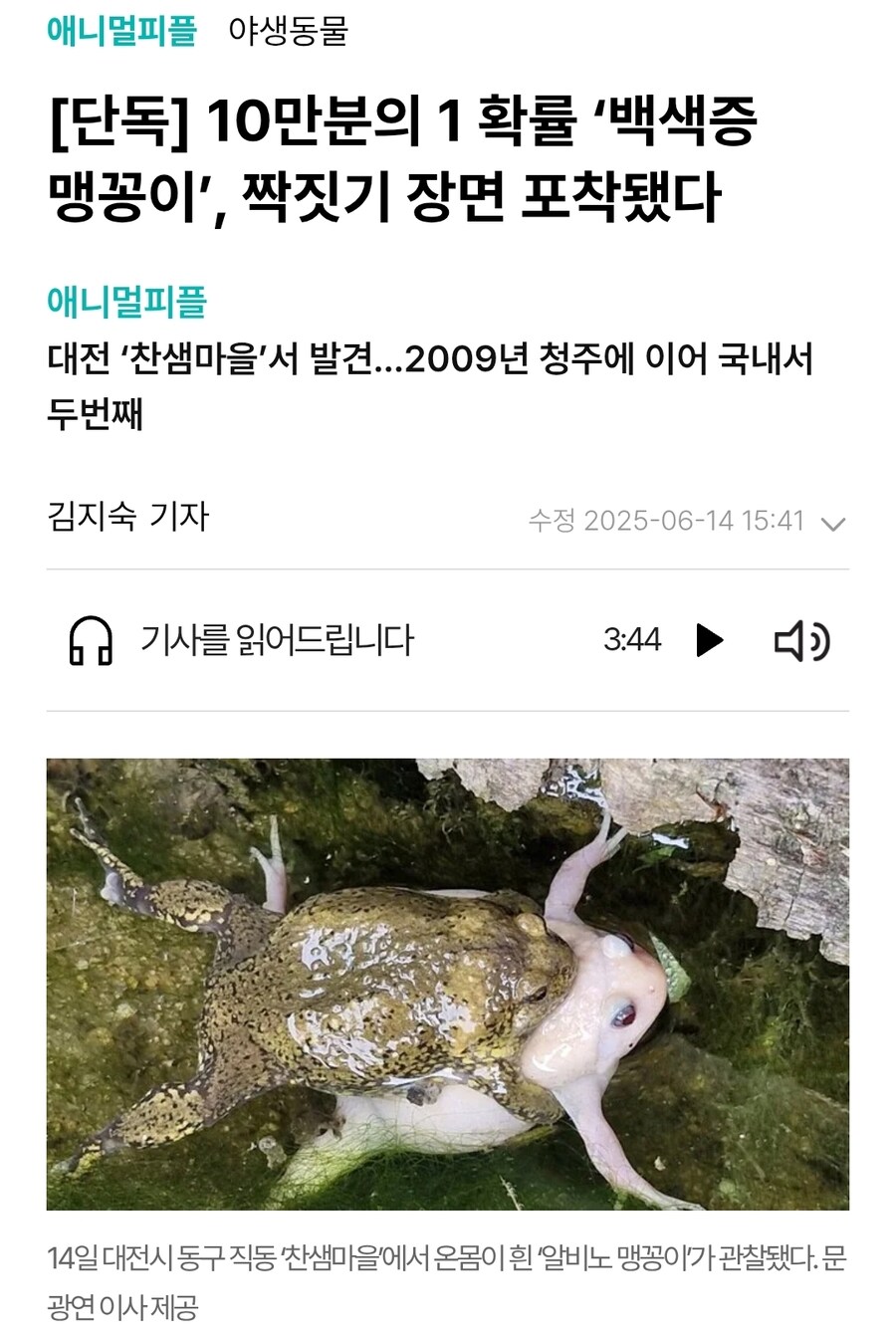 덩치 큰 백인 미녀랑 원나잇 썰. jpg_1.jpg