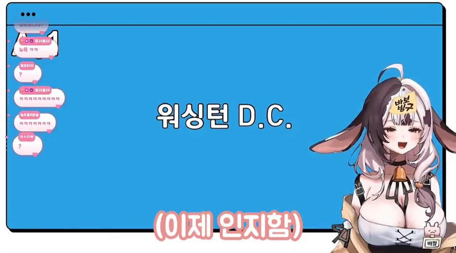인방)유치원쌤 버튜버 "미국 수도는 뉴욕"_8.jpg