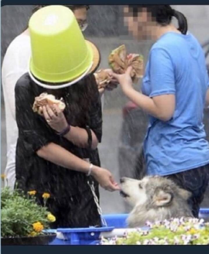 전후사정이 예상안되는 사진.._2.jpg