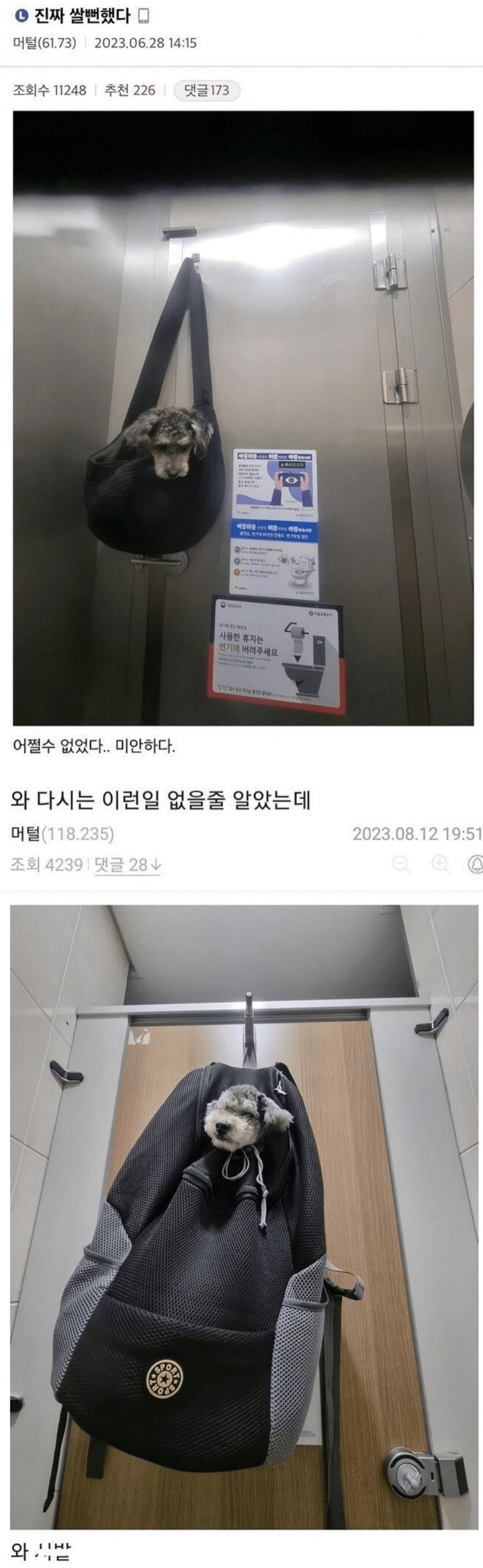 산책 중에 똥싸는 개 주인.jpg_1.png