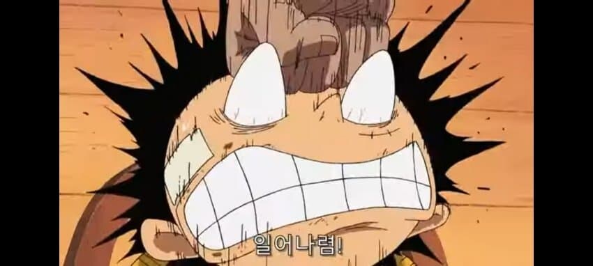 원피스에서 계속 강조되는 것_1.jpg