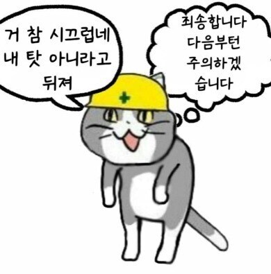 앞뒤가 바뀐 좇소냥이_1.jpg